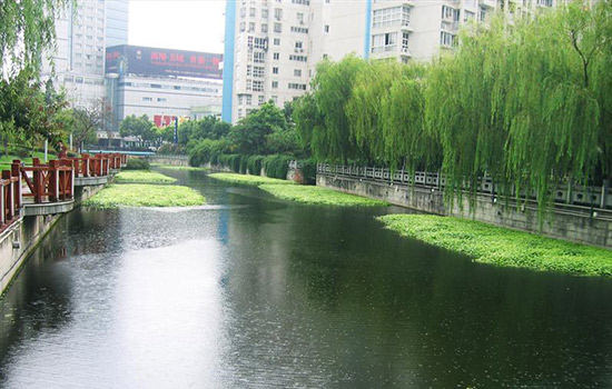 自然水體修復(fù)