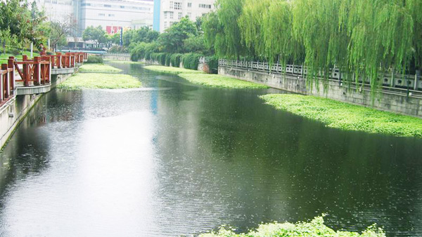 北京市航空港河段變質水體水草填料案例